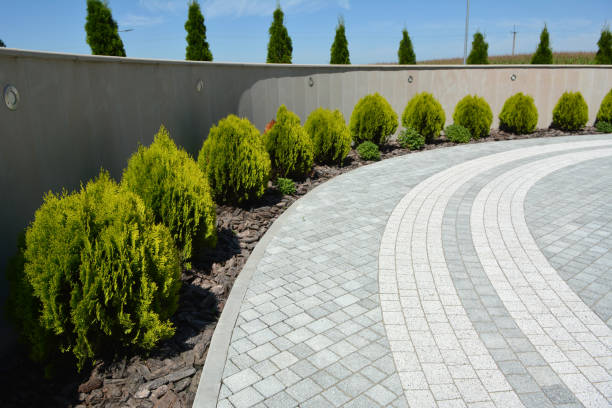 Best Decorative Driveway Pavers  in Gowanda, NY